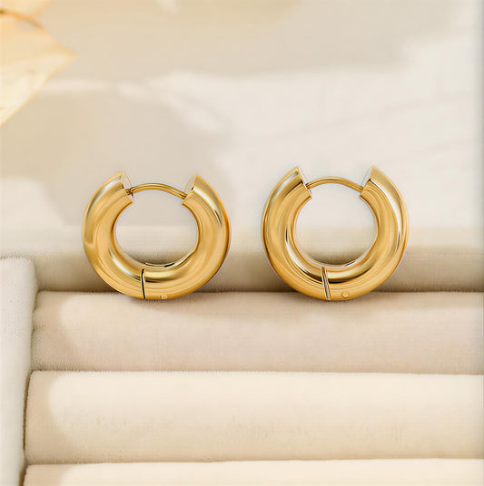 Auriel Hoops